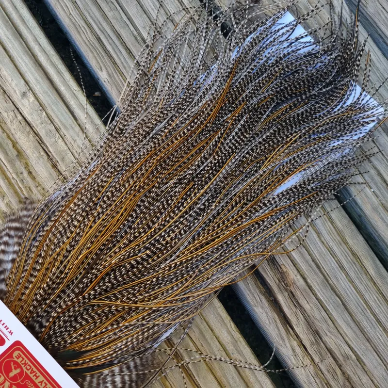 Whiting Pro-Grade Midge Rooster Saddle in Grizzly Variant D Classic Grizzly Splashed with GOLDEN Badger Approx Tying size 16/18/20/22/24/26 and OUT OF SIGHT-7