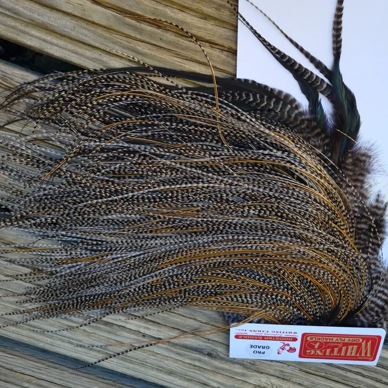 Whiting Pro-Grade Midge Rooster Saddle in Grizzly Variant D Classic Grizzly Splashed with GOLDEN Badger Approx Tying size 16/18/20/22/24/26 and OUT OF SIGHT-5