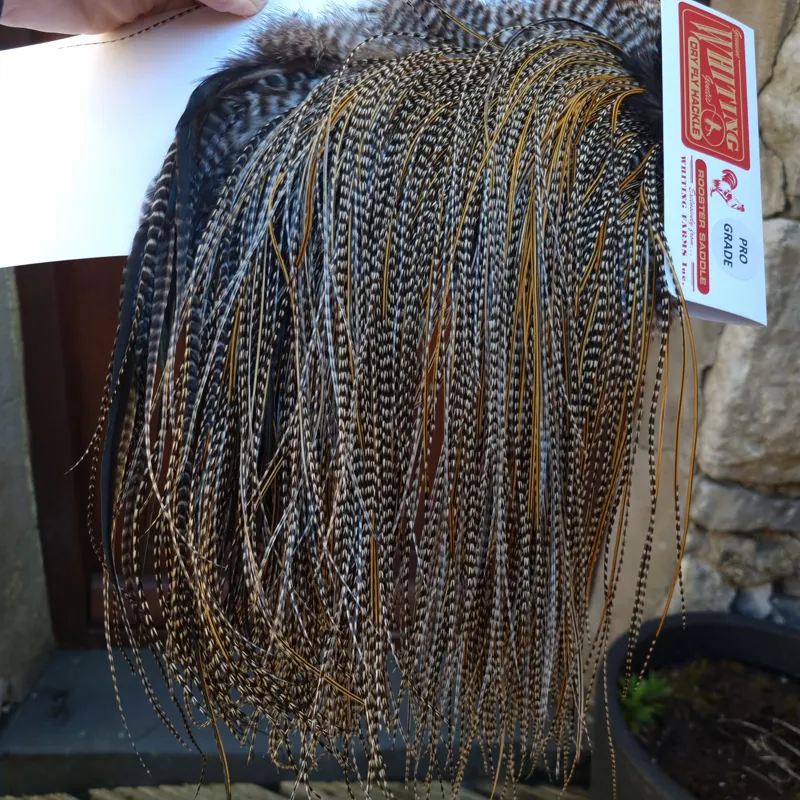 Whiting Pro-Grade Midge Rooster Saddle in Grizzly Variant D Classic Grizzly Splashed with GOLDEN Badger Approx Tying size 16/18/20/22/24/26 and OUT OF SIGHT-2