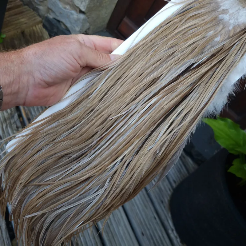 Whiting Heritage Hackles Rooster Saddle in Mixed Colours D Sandy Dun/Light to Dark Tan Dun/ Splashed with Medium to Dark Brown Dun Tying Approx 10/12/14-6