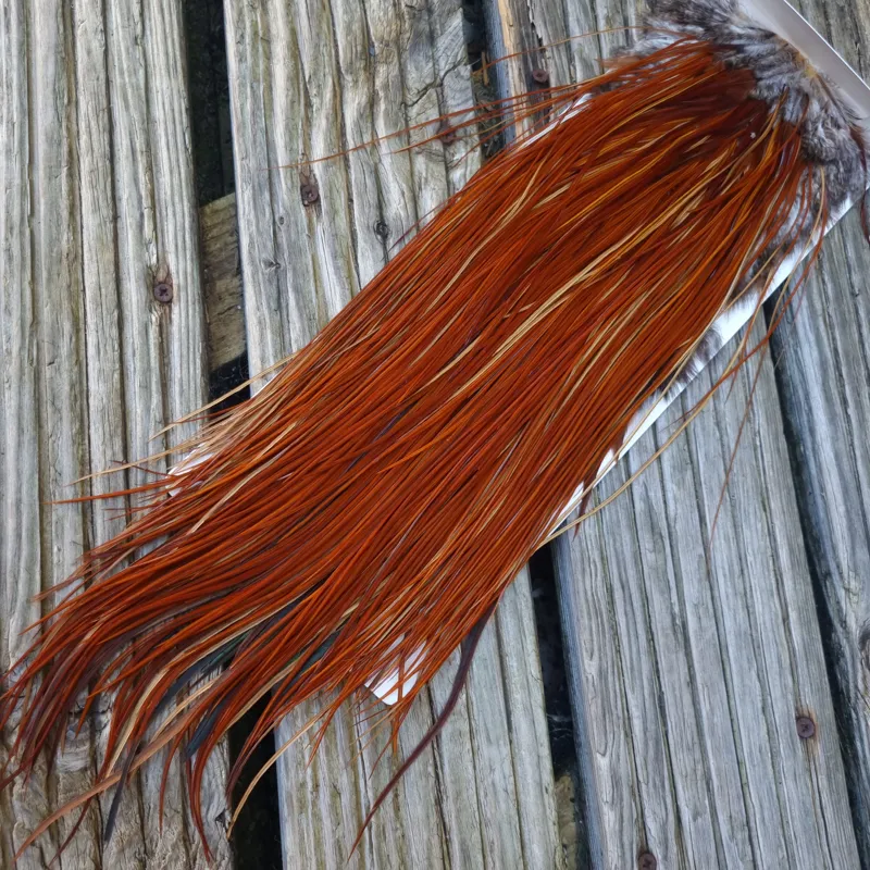 Whiting Heritage Hackles Rooster Saddle in Mixed Colours D Light to Dark Red Game Tying Approx  12/14/16-3