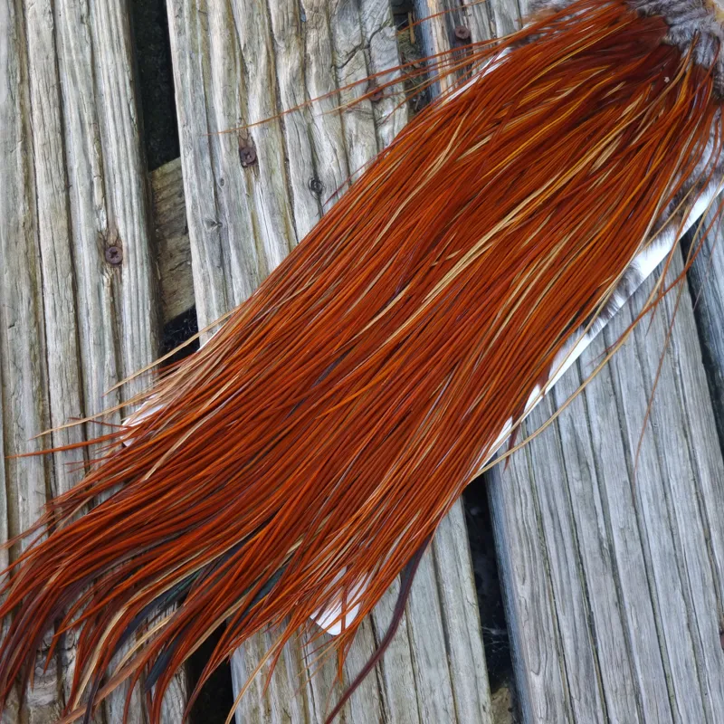 Whiting Heritage Hackles Rooster Saddle in Mixed Colours D Light to Dark Red Game Tying Approx  12/14/16-4