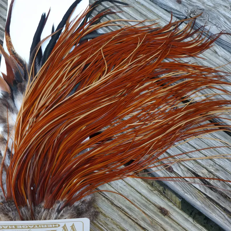 Whiting Heritage Hackles Rooster Saddle in Mixed Colours D Light to Dark Red Game Tying Approx  12/14/16-5