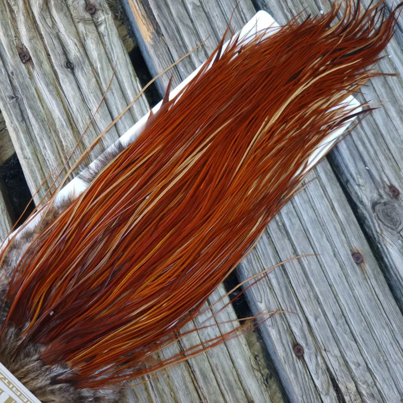Whiting Heritage Hackles Rooster Saddle in Mixed Colours D Light to Dark Red Game Tying Approx  12/14/16-6