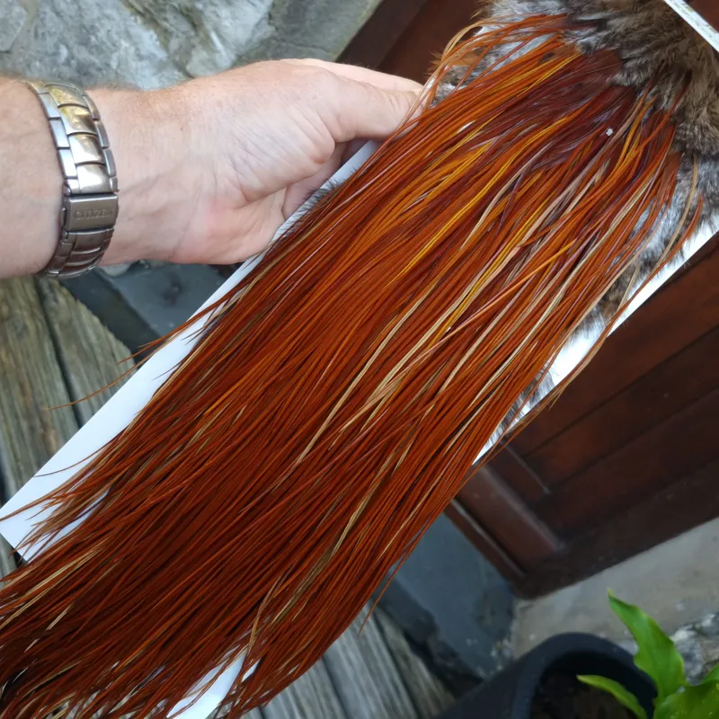 Whiting Heritage Hackles Rooster Saddle in Mixed Colours D Light to Dark Red Game Tying Approx  12/14/16-7