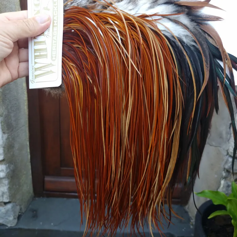 Whiting Heritage Hackles Rooster Saddle in Mixed Colours D Light to Dark Red Game Tying Approx  12/14/16-2