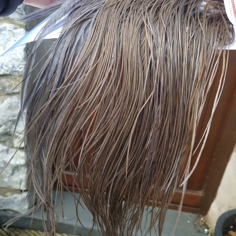 Whiting Pro-Grade Midge Rooster Saddle in Dark Dun B Approx Tying Size Stuffed with14/16/18/20 some going smaller-1