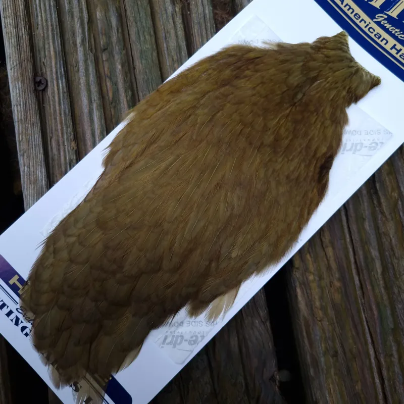 Whiting American Hen Cape in Dark Olive