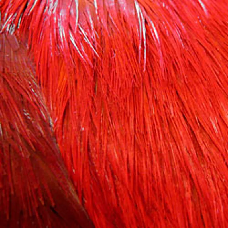 Dyed Golden Pheasant Body Skin-4