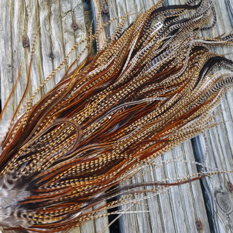 Whiting Heritage Hackles Rooster Saddle in Mixed Colours E CREE/Furnace/Rusty Dun Tying approx size 10/12/14-7