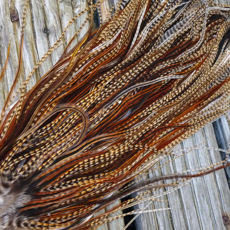 Whiting Heritage Hackles Rooster Saddle in Mixed Colours E CREE/Furnace/Rusty Dun Tying approx size 10/12/14-3