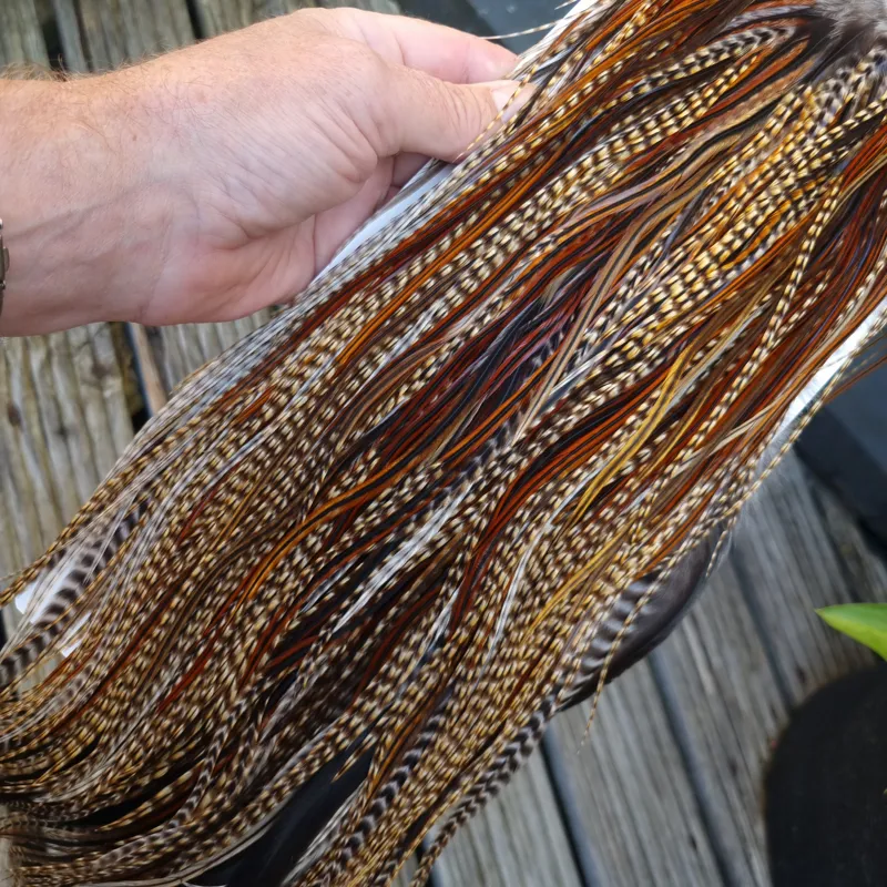 Whiting Heritage Hackles Rooster Saddle in Mixed Colours E CREE/Furnace/Rusty Dun Tying approx size 10/12/14-8