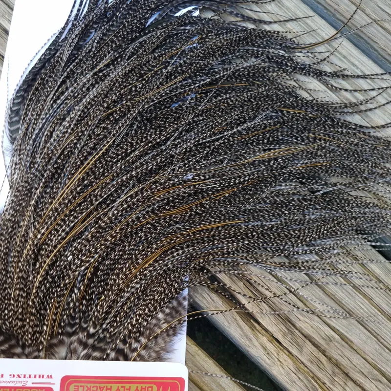 Whiting Pro-Grade Midge Rooster Saddle in Grizzly Variant E VERY Dark Grizzly Splashed with Golden Badger Approx Tying Size 18/20/22/24/26 and OUT OF SIGHT-4