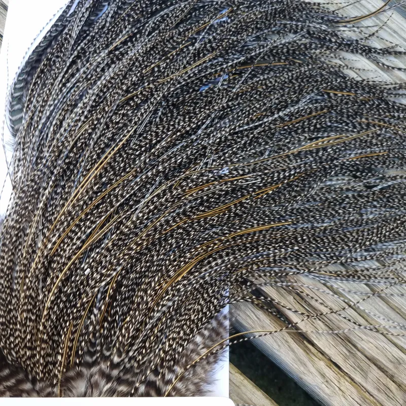 Whiting Pro-Grade Midge Rooster Saddle in Grizzly Variant E VERY Dark Grizzly Splashed with Golden Badger Approx Tying Size 18/20/22/24/26 and OUT OF SIGHT-5