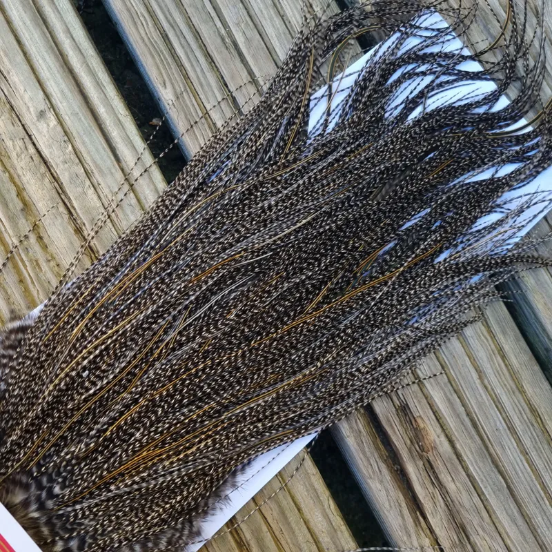 Whiting Pro-Grade Midge Rooster Saddle in Grizzly Variant E VERY Dark Grizzly Splashed with Golden Badger Approx Tying Size 18/20/22/24/26 and OUT OF SIGHT-1