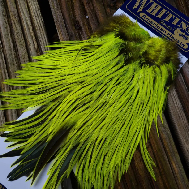 Whiting American Rooster Saddle in Silver Badger Dyed Fl.Yellow Chartreuse