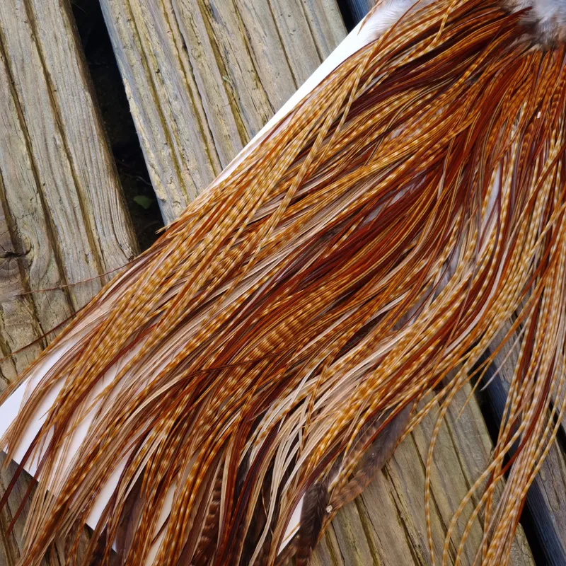 Whiting Heritage Hackles Rooster Saddle in Mixed Colours G Dark Barred Ginger/Medium Barred Ginger/Red Game/Furnace/Greenwell's Variants Tying Approx 14/16/18 with some 20 and smaller-1