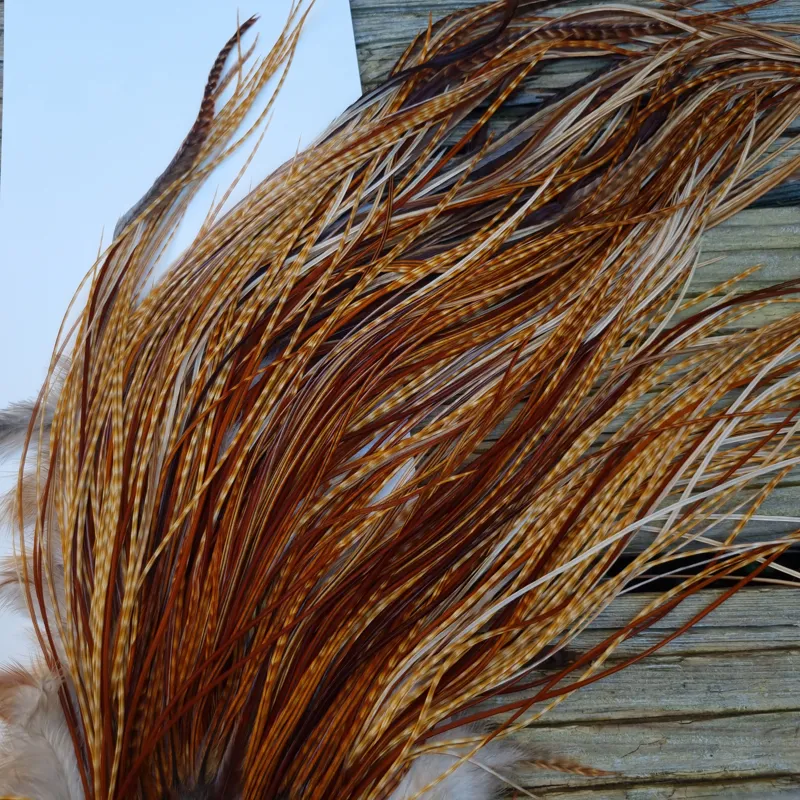 Whiting Heritage Hackles Rooster Saddle in Mixed Colours G Dark Barred Ginger/Medium Barred Ginger/Red Game/Furnace/Greenwell's Variants Tying Approx 14/16/18 with some 20 and smaller-6