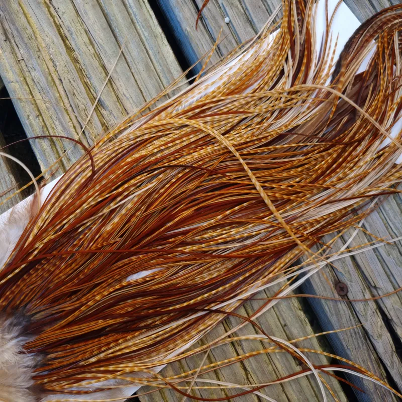 Whiting Heritage Hackles Rooster Saddle in Mixed Colours G Dark Barred Ginger/Medium Barred Ginger/Red Game/Furnace/Greenwell's Variants Tying Approx 14/16/18 with some 20 and smaller-7