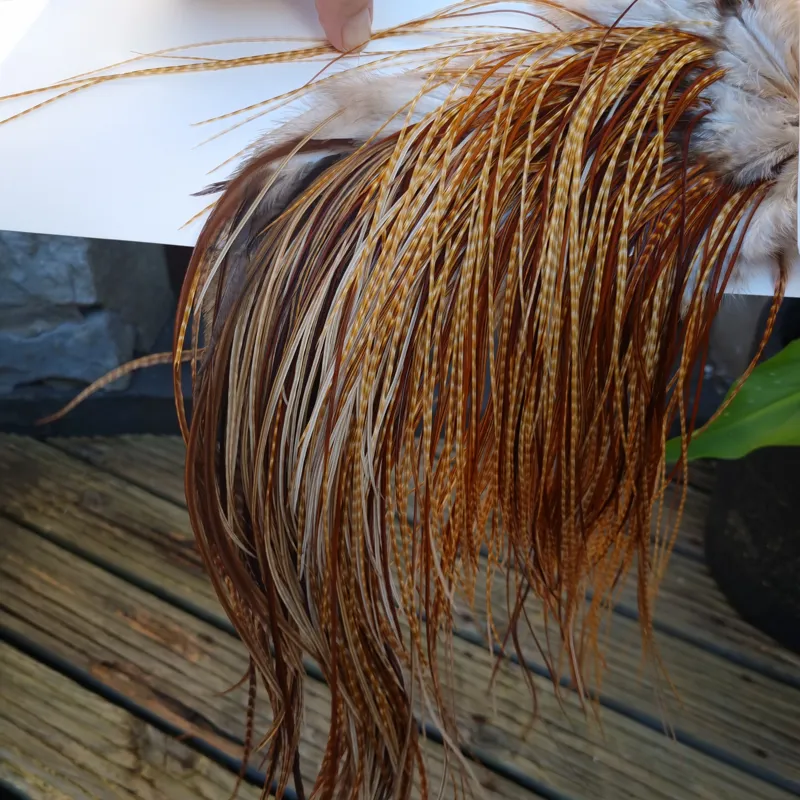 Whiting Heritage Hackles Rooster Saddle in Mixed Colours G Dark Barred Ginger/Medium Barred Ginger/Red Game/Furnace/Greenwell's Variants Tying Approx 14/16/18 with some 20 and smaller-5
