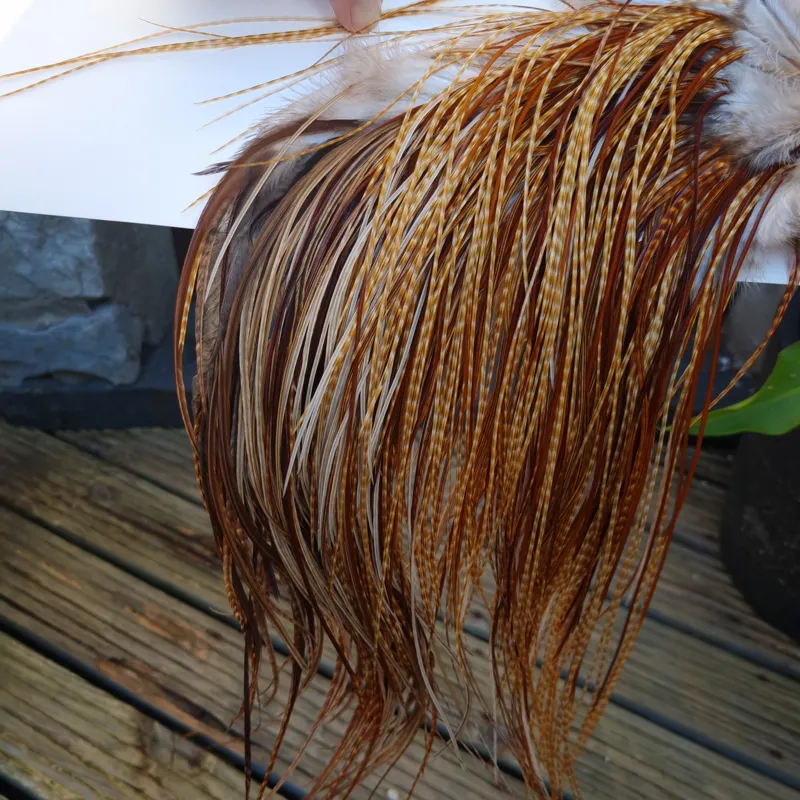 Whiting Heritage Hackles Rooster Saddle in Mixed Colours G Dark Barred Ginger/Medium Barred Ginger/Red Game/Furnace/Greenwell's Variants Tying Approx 14/16/18 with some 20 and smaller