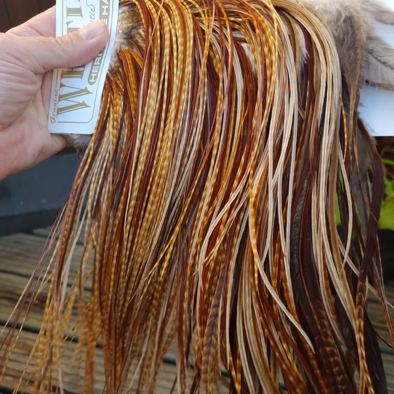 Whiting Heritage Hackles Rooster Saddle in Mixed Colours G Dark Barred Ginger/Medium Barred Ginger/Red Game/Furnace/Greenwell's Variants Tying Approx 14/16/18 with some 20 and smaller-2