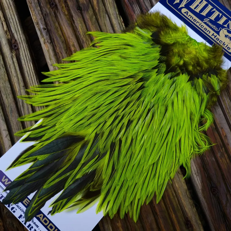 Whiting American Rooster Saddle in Silver Badger Dyed Fl.Green Chartreuse