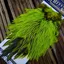 Whiting American Rooster Saddle in Silver Badger Dyed Fl.Green Chartreuse