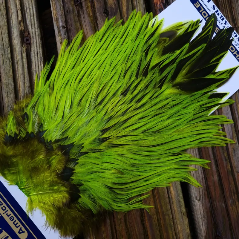 Whiting American Rooster Saddle in Silver Badger Dyed Fl.Green Chartreuse-1