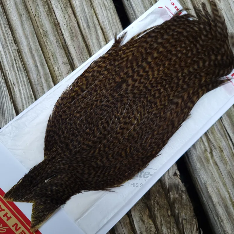Whiting Hen Cape in Grizzly Dyed Dark Olive B-1