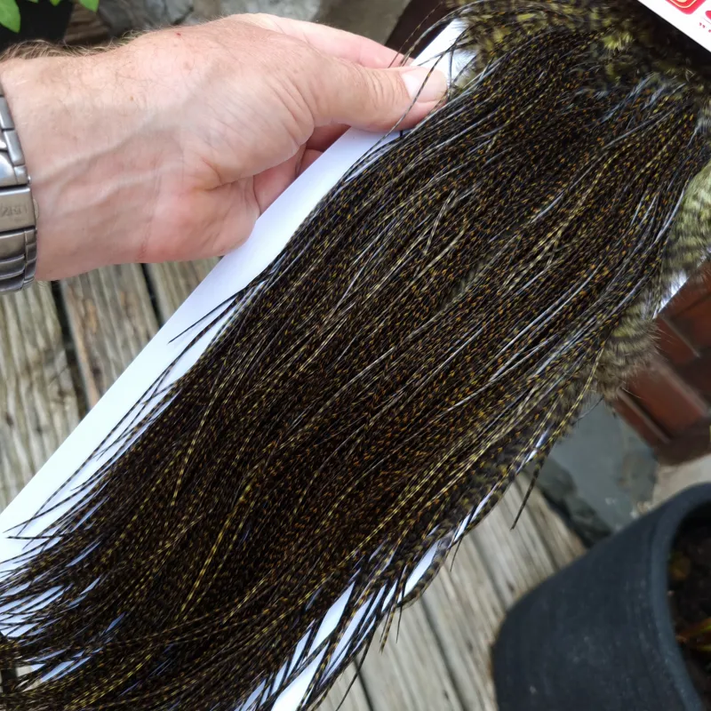 Whiting Pro-Grade Midge Rooster Saddle in Grizzly Dyed Dark Olive/ VERY DARK OLIVE GRIZZLY A Approx Tying Sizes Stuffed with 18/20/22/24/26 and out of sight-5