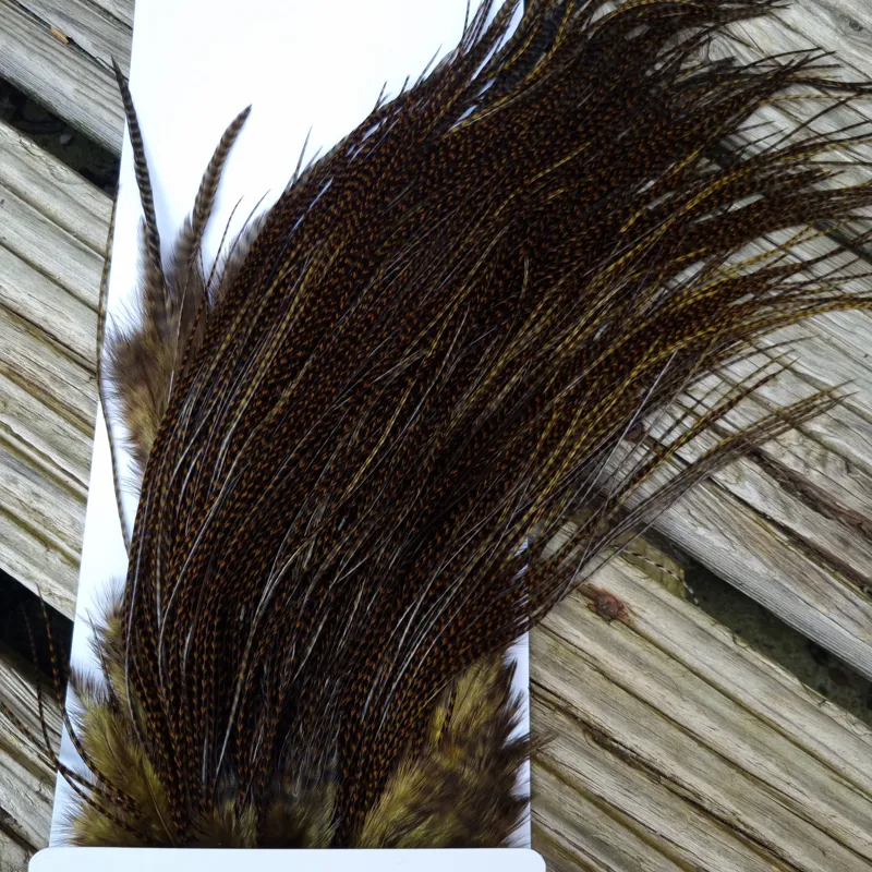 Whiting Pro-Grade Midge Rooster Saddle in Grizzly Dyed Dark Olive B Approx Tying Sizes 14 16 18 with a few going smaller-5