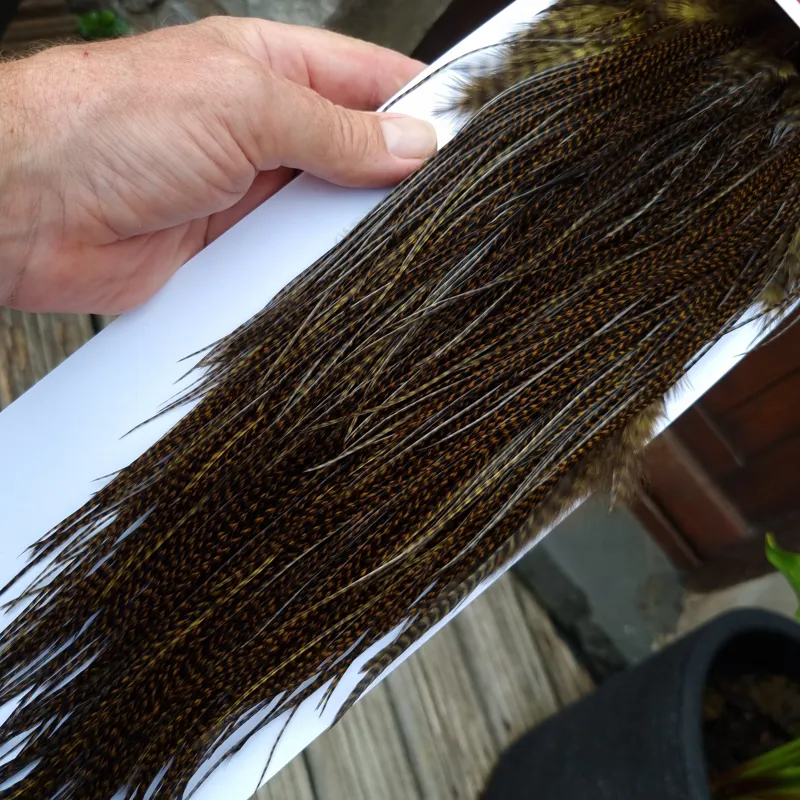 Whiting Pro-Grade Midge Rooster Saddle in Grizzly Dyed Dark Olive B Approx Tying Sizes 14 16 18 with a few going smaller-8