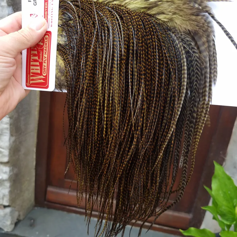 Whiting Pro-Grade Midge Rooster Saddle in Grizzly Dyed Dark Olive B Approx Tying Sizes 14 16 18 with a few going smaller-7