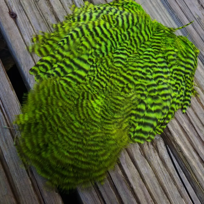 Whiting Rooster Soft Hackle with Chickabou in Grizzly Dyed Fl.Green Chartreuse