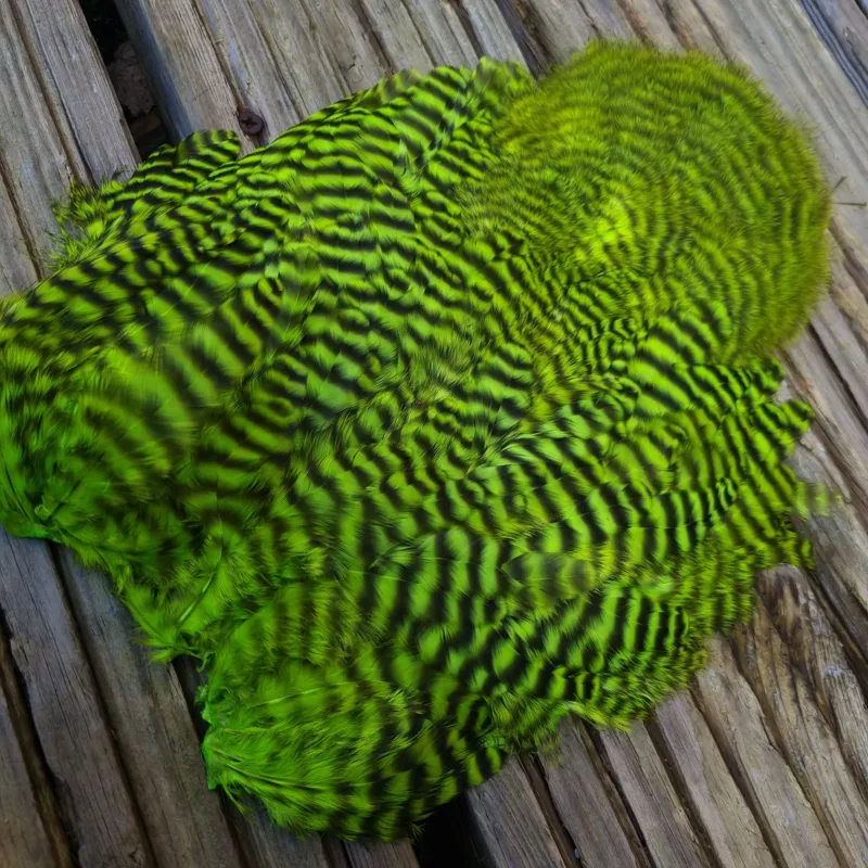 Whiting Rooster Soft Hackle with Chickabou in Grizzly Dyed Fl.Green Chartreuse-3