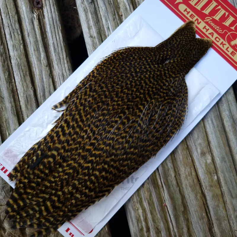 Whiting Hen Cape in Grizzly Dyed Golden Olive A