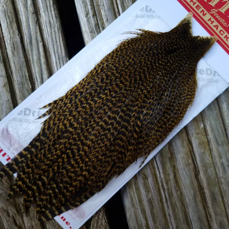 Whiting Hen Cape in Grizzly Dyed Golden Olive B