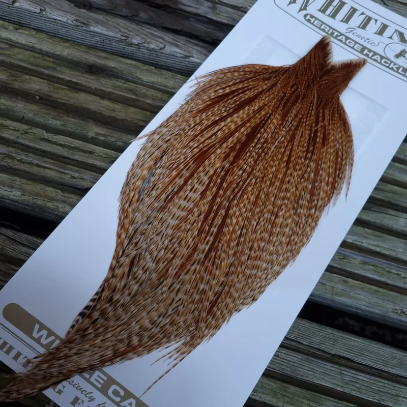 Whiting Heritage Hackles Rooster Cape in Mixed Colours H Barred Ginger Hackles-1