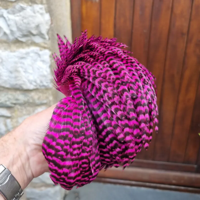 Whiting Exclusive Grizzly Hen Cape in Magenta