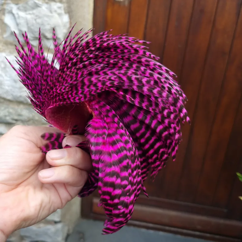 Whiting Exclusive Grizzly Hen Cape in Magenta-2