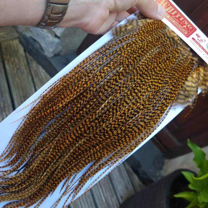 Whiting PRO-GRADE Dry Fly Rooster Saddle in Grizzly March Brown A Approx Tying Sizes 10 12 14-3