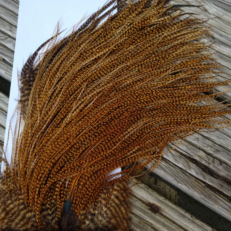 Whiting Pro-Grade Midge Rooster Saddle in Grizzly Dyed March Brown B Grizzly March Brown/Splashed with Badger March Brown Approx Tying Sizes  14 16 18 20 22 24 and OUT OF SIGHT	-5