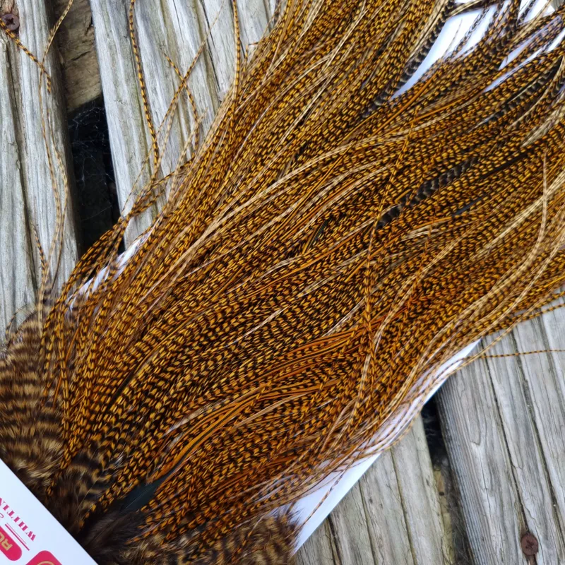 Whiting Pro-Grade Midge Rooster Saddle in Grizzly Dyed March Brown B Grizzly March Brown/Splashed with Badger March Brown Approx Tying Sizes  14 16 18 20 22 24 and OUT OF SIGHT	-6
