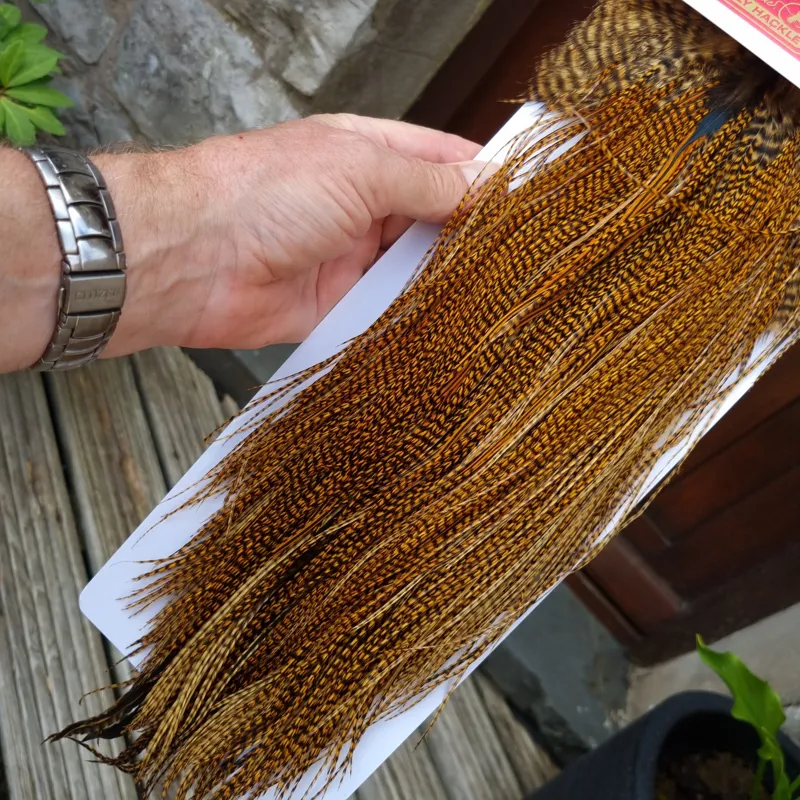Whiting Pro-Grade Midge Rooster Saddle in Grizzly Dyed March Brown B Grizzly March Brown/Splashed with Badger March Brown Approx Tying Sizes  14 16 18 20 22 24 and OUT OF SIGHT	-7