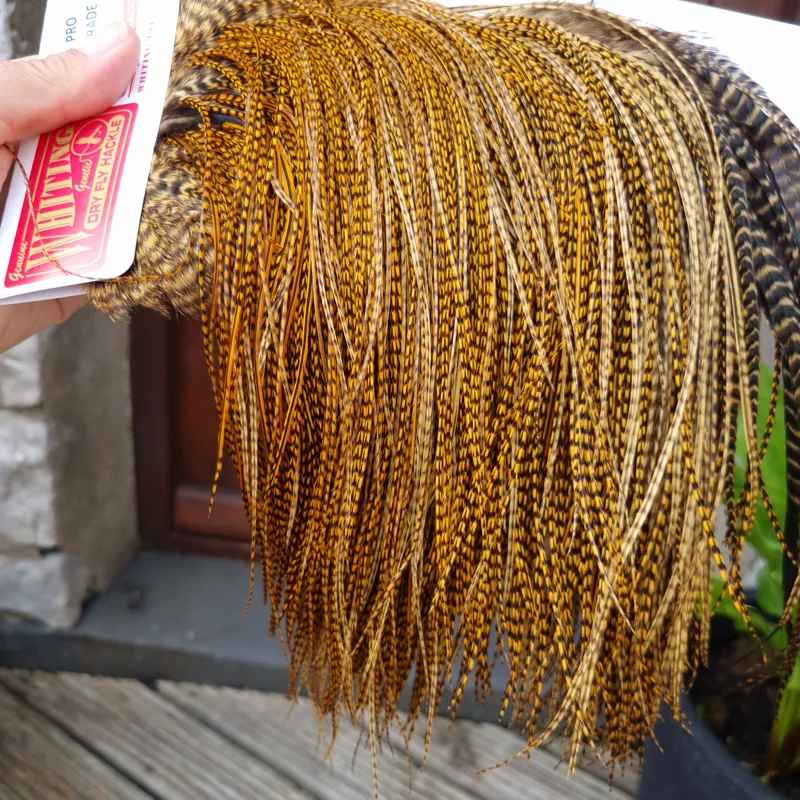 Whiting Pro-Grade Midge Rooster Saddle in Grizzly Dyed March Brown B Grizzly March Brown/Splashed with Badger March Brown Approx Tying Sizes  14 16 18 20 22 24 and OUT OF SIGHT	-2
