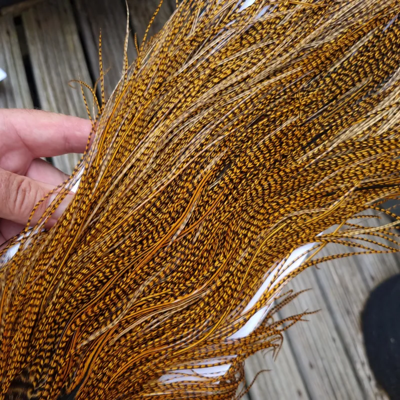 Whiting Pro-Grade Midge Rooster Saddle in Grizzly Dyed March Brown B Grizzly March Brown/Splashed with Badger March Brown Approx Tying Sizes  14 16 18 20 22 24 and OUT OF SIGHT	-3