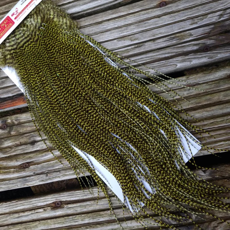 Whiting Pro-Grade Midge Rooster Saddle in Grizzly Dyed Olive B Approx tying size 14/16/18/20 AND some going 22/24 and OUT OF SIGHT-2