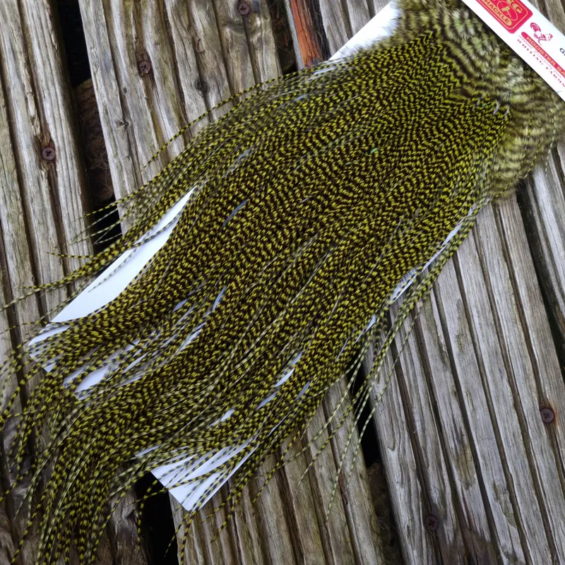 Whiting Pro-Grade Midge Rooster Saddle in Grizzly Dyed Olive B Approx tying size 14/16/18/20 AND some going 22/24 and OUT OF SIGHT-3