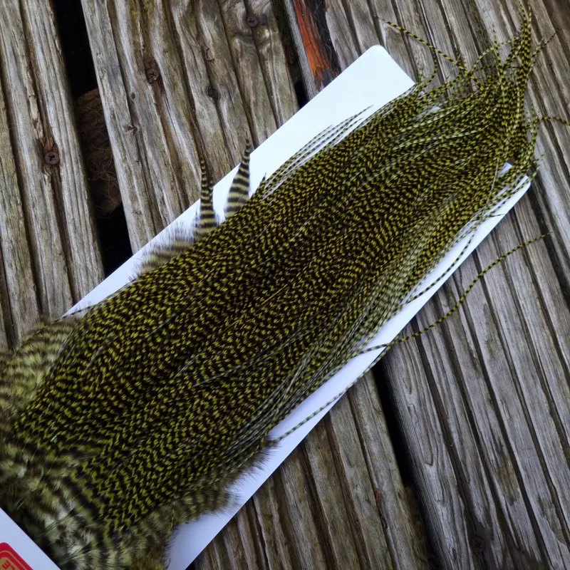 Whiting Pro-Grade Midge Rooster Saddle in Grizzly Dyed Olive B Approx tying size 14/16/18/20 AND some going 22/24 and OUT OF SIGHT-5